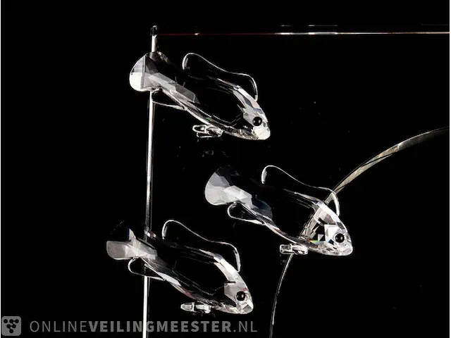 Swarovski kristal wonders of the sea - harmony swarovski kristal - afbeelding 7 van  16
