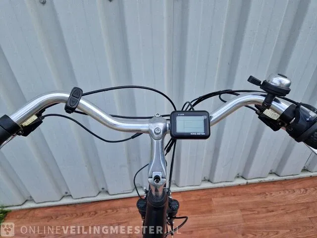 Sway e-bike/ elektrische fiets, matzwart, bouwjaar 2022 popal, matzwart, bouwjaar 2022 - afbeelding 5 van  9