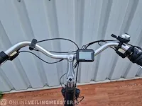 Sway e-bike/ elektrische fiets, matzwart, bouwjaar 2022 popal, matzwart, bouwjaar 2022 - afbeelding 5 van  9