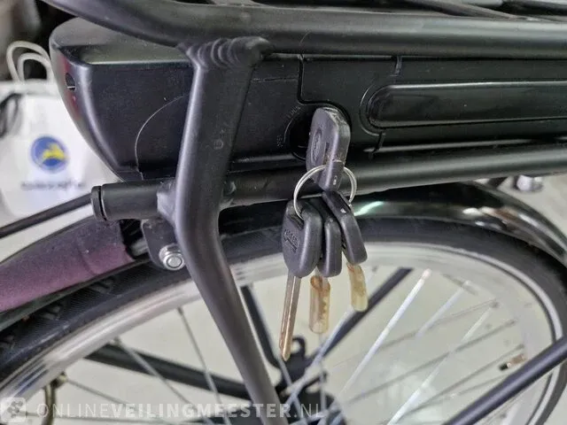 Sway e-bike/ elektrische fiets, matzwart, bouwjaar 2022 popal, matzwart, bouwjaar 2022 - afbeelding 8 van  9