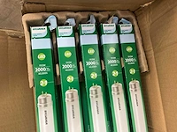 Sylvania evo toledo led tl buis (60x) - afbeelding 6 van  8