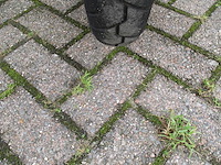 Sym - snorscooter - mio 50i - scooter - afbeelding 11 van  11