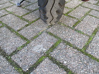 Sym mio 50 - snorscooter - scooter - afbeelding 11 van  11