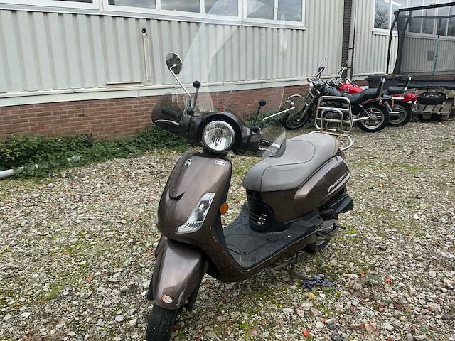 Sym snorscooter fiddle ii - afbeelding 1 van  16