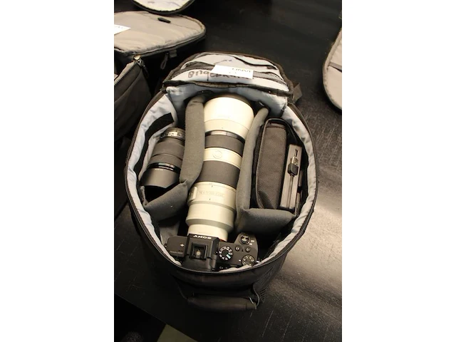 Systeemcamera sony alpha 7-2 met een telelens sony fe 70-200mm f/2,8 gm oss en een lens van 28-70mm oss, fl... - afbeelding 8 van  9