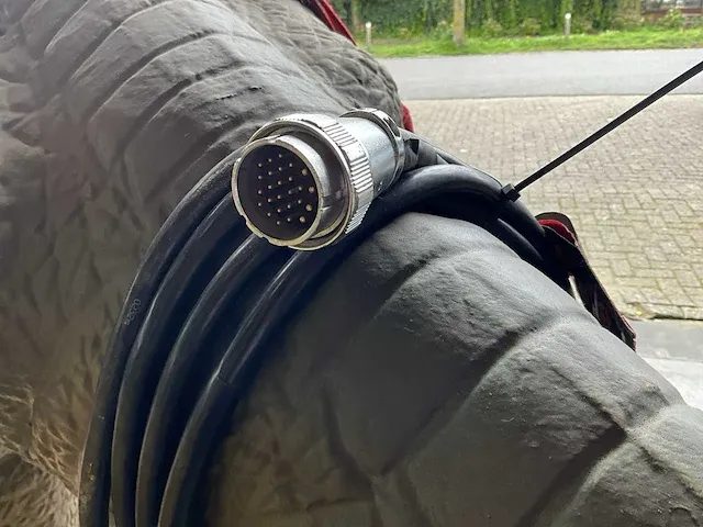 T-rex ride - afbeelding 13 van  15