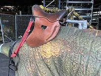 T-rex ride - afbeelding 14 van  15