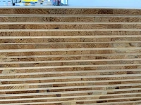 Tafelblad 2440x1220x13mm berke (44x) - afbeelding 7 van  8