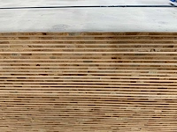 Tafelblad 2440x1220x13mm berke (70x) - afbeelding 4 van  8