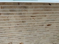 Tafelblad 5-laags 2440x1220x22mm (37x) - afbeelding 6 van  7