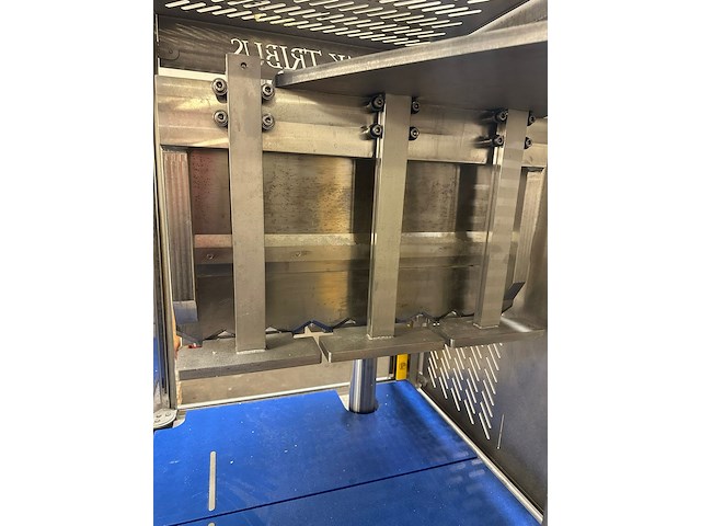 Tak-tribus - afbeelding 9 van  12