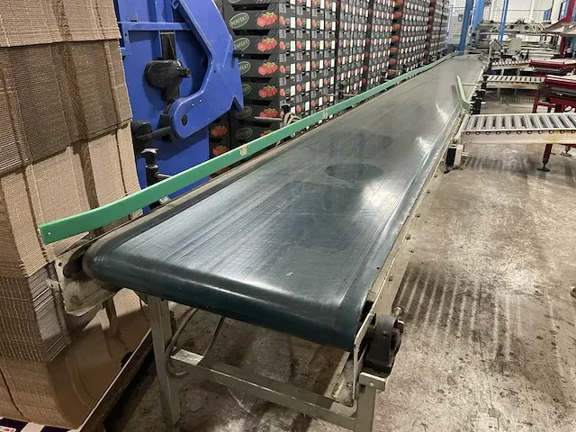 Taks tts complete verwerking- palletiseerinstallatie - afbeelding 26 van  54