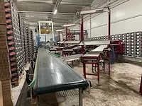 Taks tts complete verwerking- palletiseerinstallatie - afbeelding 43 van  54
