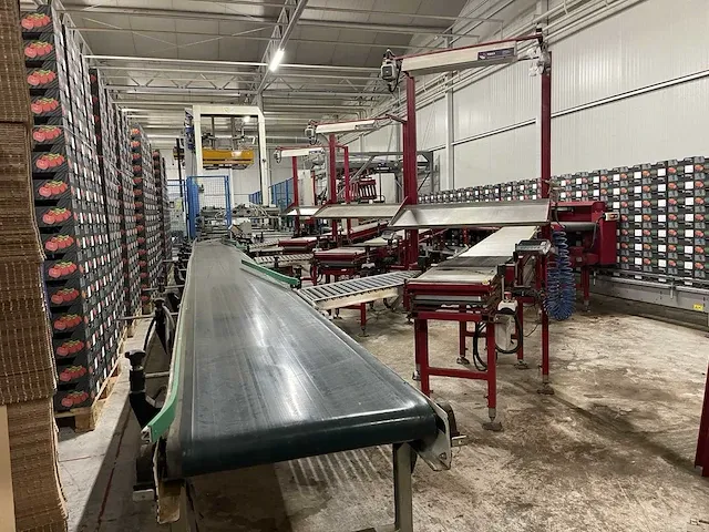 Taks tts complete verwerking- palletiseerinstallatie - afbeelding 48 van  54