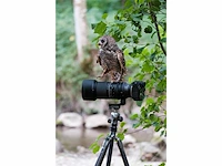 Tamron 150-500mm f/5-6.7 di iii vc vxd fuji x compacte en lichte super telezoomlens - afbeelding 2 van  4