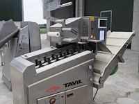 Tavil - afbeelding 6 van  13