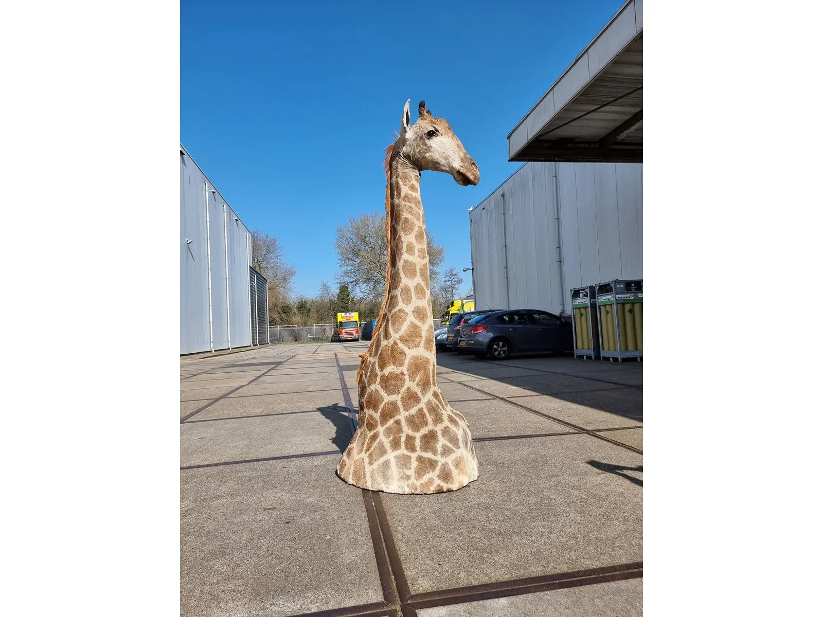 Taxidermie, edelstenen en woonaccessoires