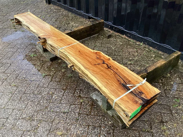 Taxus (4x) - afbeelding 1 van  7