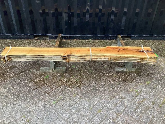 Taxus (4x) - afbeelding 2 van  7