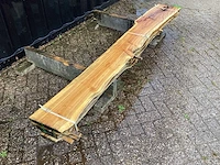 Taxus (4x) - afbeelding 3 van  7
