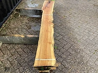 Taxus (4x) - afbeelding 4 van  7
