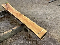 Taxus (4x) - afbeelding 5 van  7