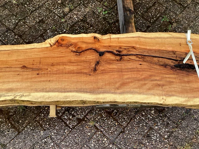Taxus (4x) - afbeelding 6 van  7