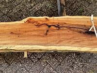 Taxus (4x) - afbeelding 6 van  7