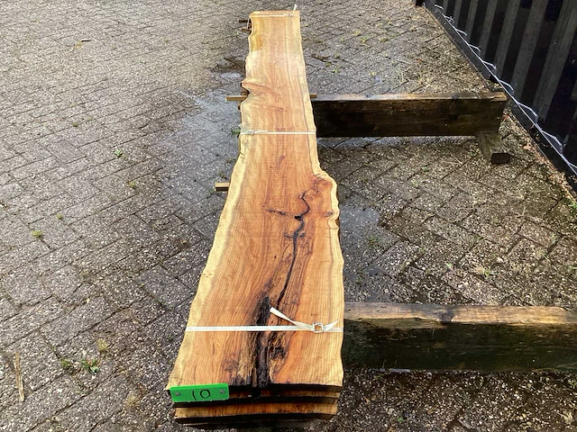 Taxus (4x) - afbeelding 7 van  7