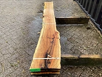 Taxus (4x) - afbeelding 7 van  7