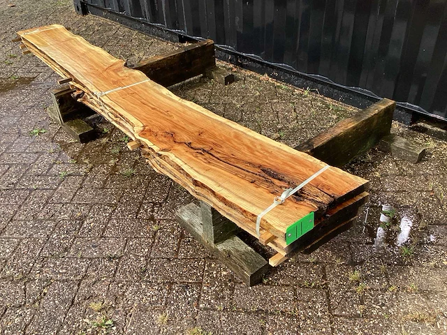 Taxus (4x) - afbeelding 1 van  7