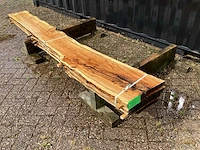 Taxus (4x) - afbeelding 1 van  7