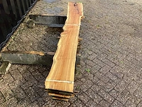 Taxus (4x) - afbeelding 4 van  7