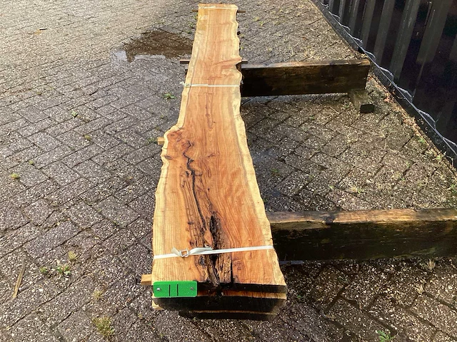 Taxus (4x) - afbeelding 7 van  7