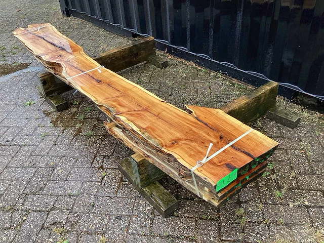Taxus (4x) - afbeelding 1 van  8