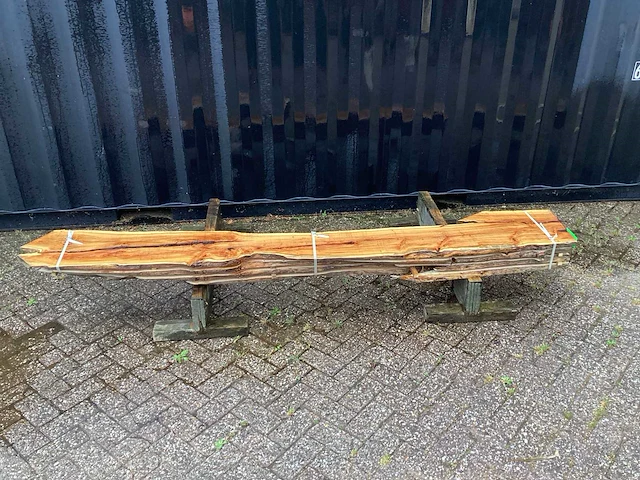 Taxus (4x) - afbeelding 2 van  8
