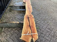 Taxus (4x) - afbeelding 4 van  8