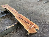 Taxus (4x) - afbeelding 5 van  8