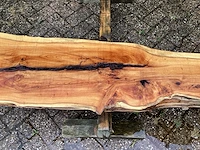 Taxus (4x) - afbeelding 6 van  8