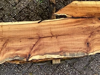 Taxus (4x) - afbeelding 7 van  8