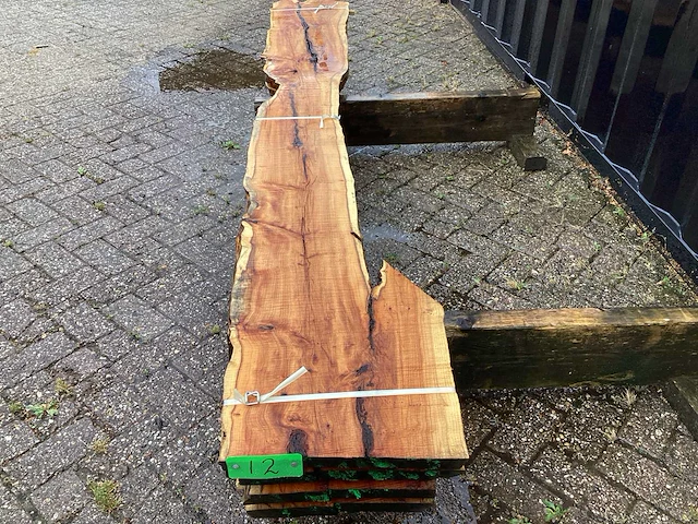 Taxus (4x) - afbeelding 8 van  8