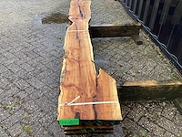 Taxus (4x) - afbeelding 8 van  8