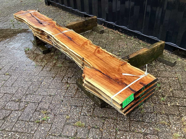 Taxus (4x) - afbeelding 1 van  8