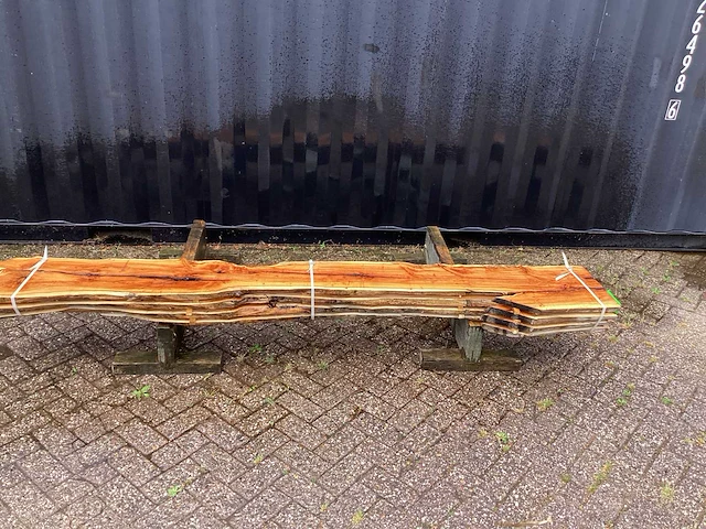 Taxus (4x) - afbeelding 2 van  8