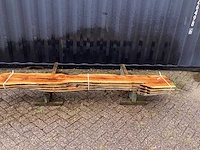 Taxus (4x) - afbeelding 2 van  8