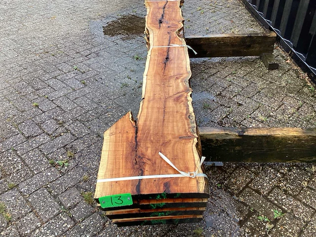 Taxus (4x) - afbeelding 8 van  8
