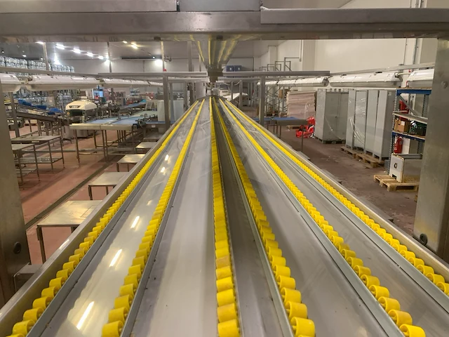 Techno group lab s.r.l. - afbeelding 14 van  35