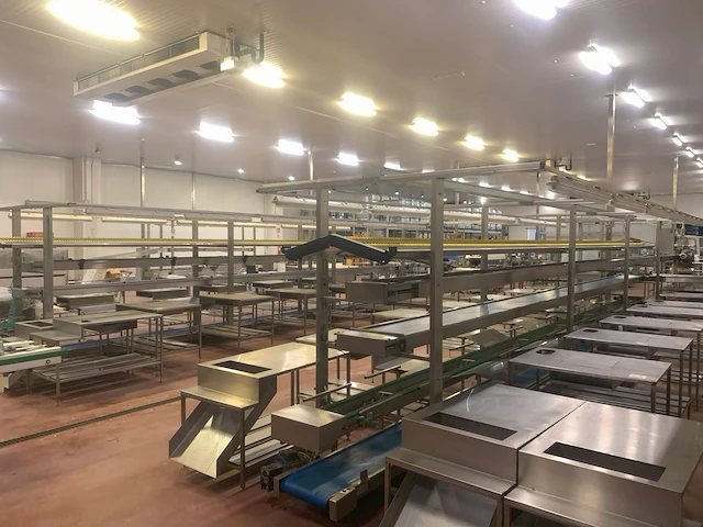 Techno group lab s.r.l. - afbeelding 5 van  35