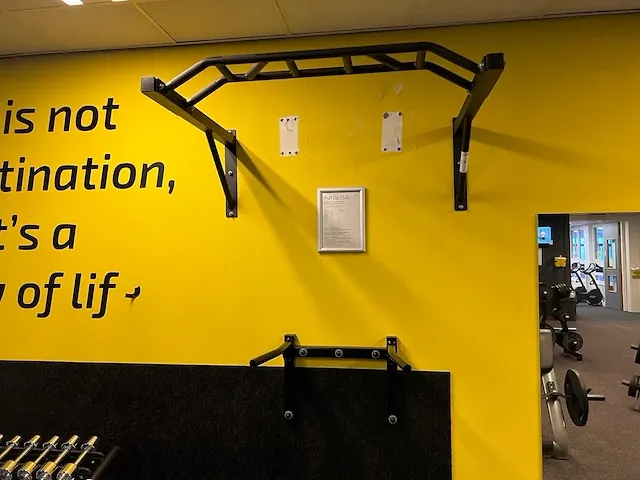 Technogym - optrekrek - afbeelding 1 van  3
