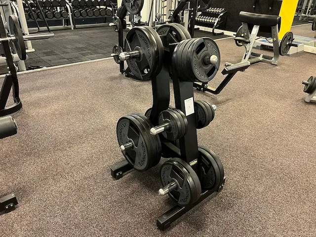 Technogym - plate tree inclusief schijven - afbeelding 1 van  5